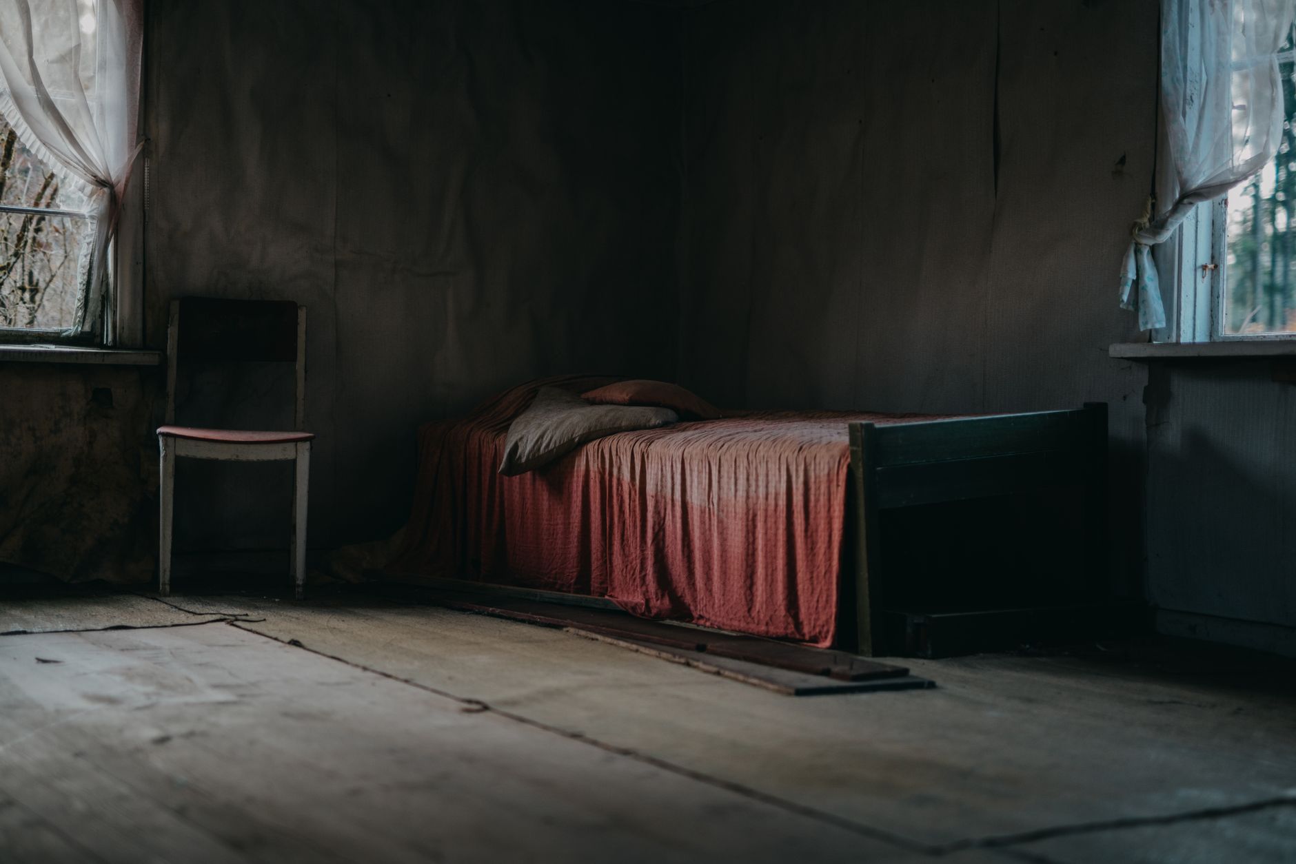 traitement punaises de lit Vosges